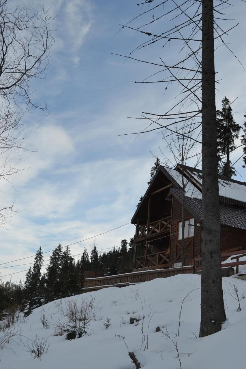 Chalet Shepit Karpat Bukovel Exterior foto